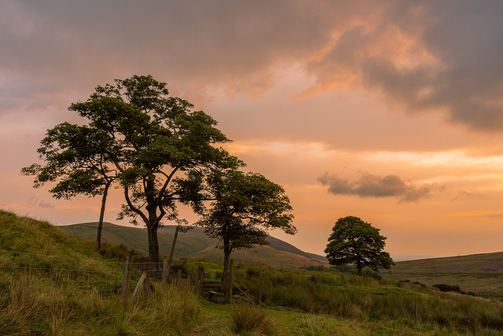 North Britain Farm