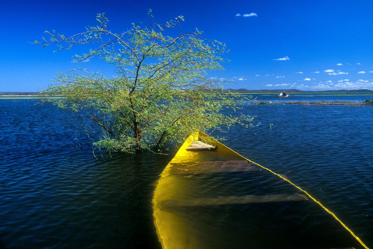 Canoa amarela, 2000. Premiada no 24º Concurso Cidade de Santa Maria/RS, 2001