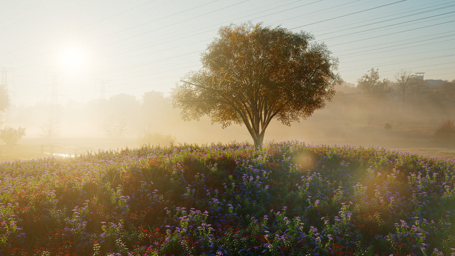 Layout, Lighting, Rendering