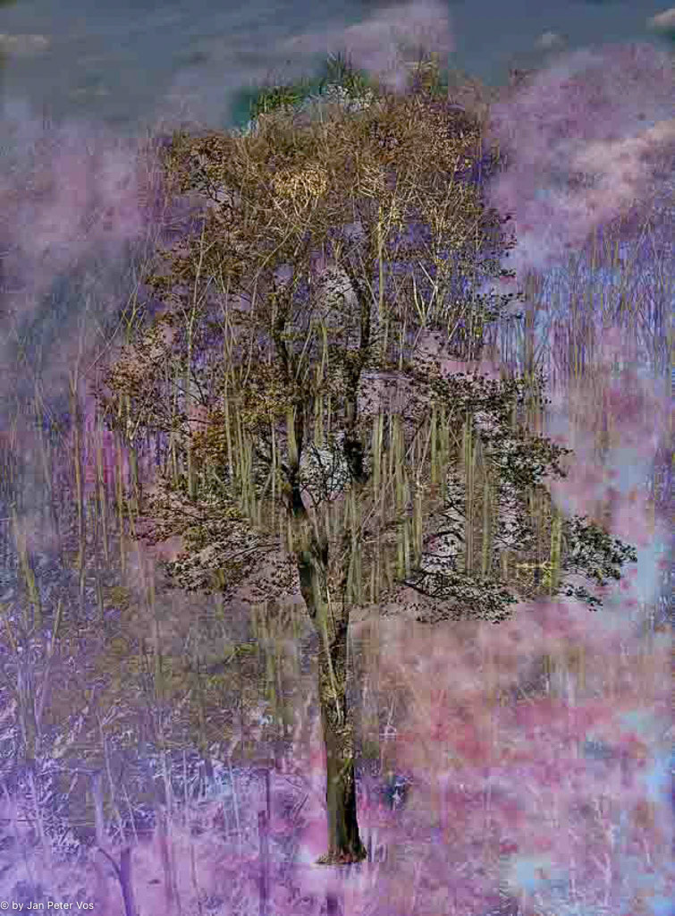 Praying Goddes: 120x90cm