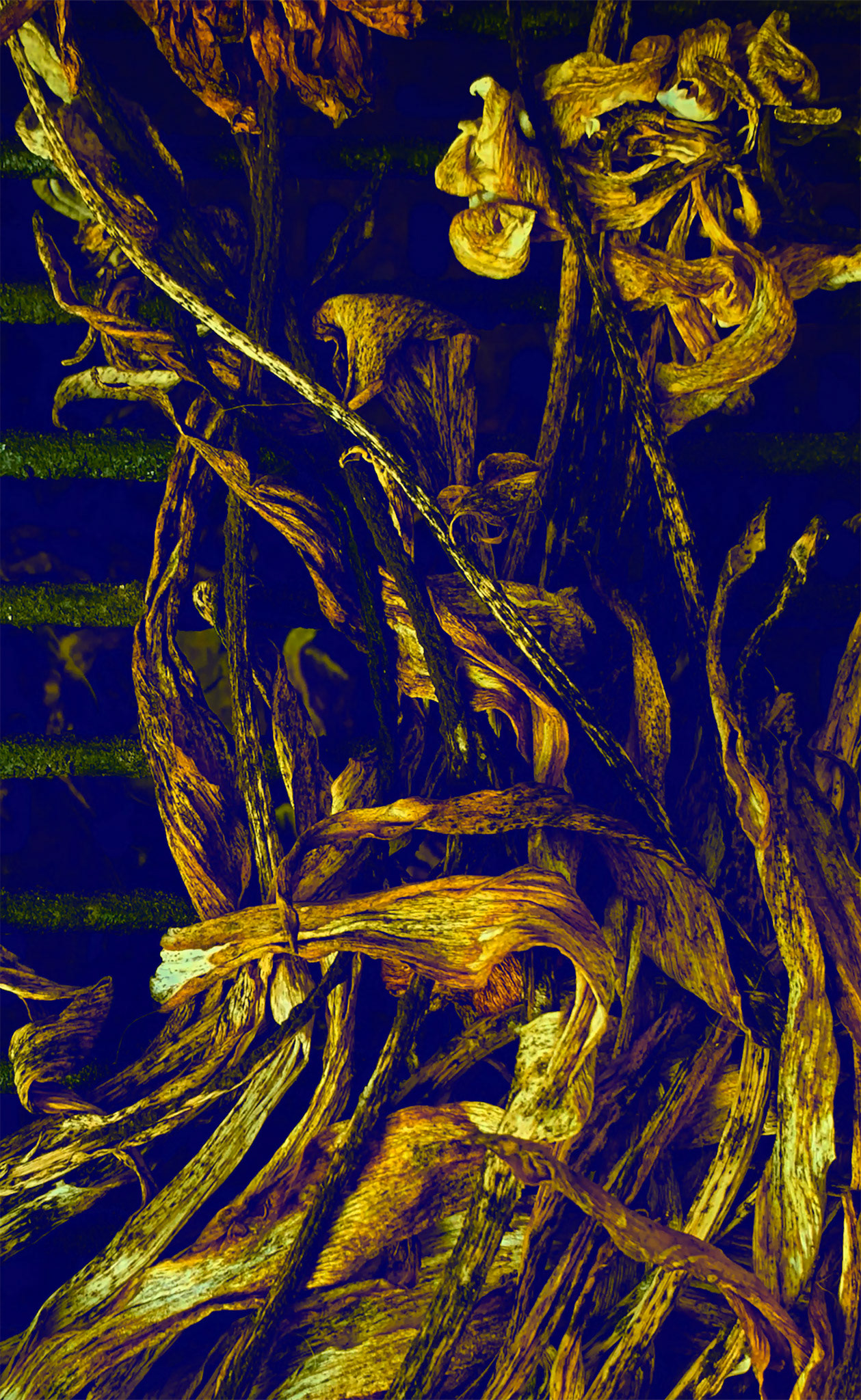 The Garlands of Thoughts,