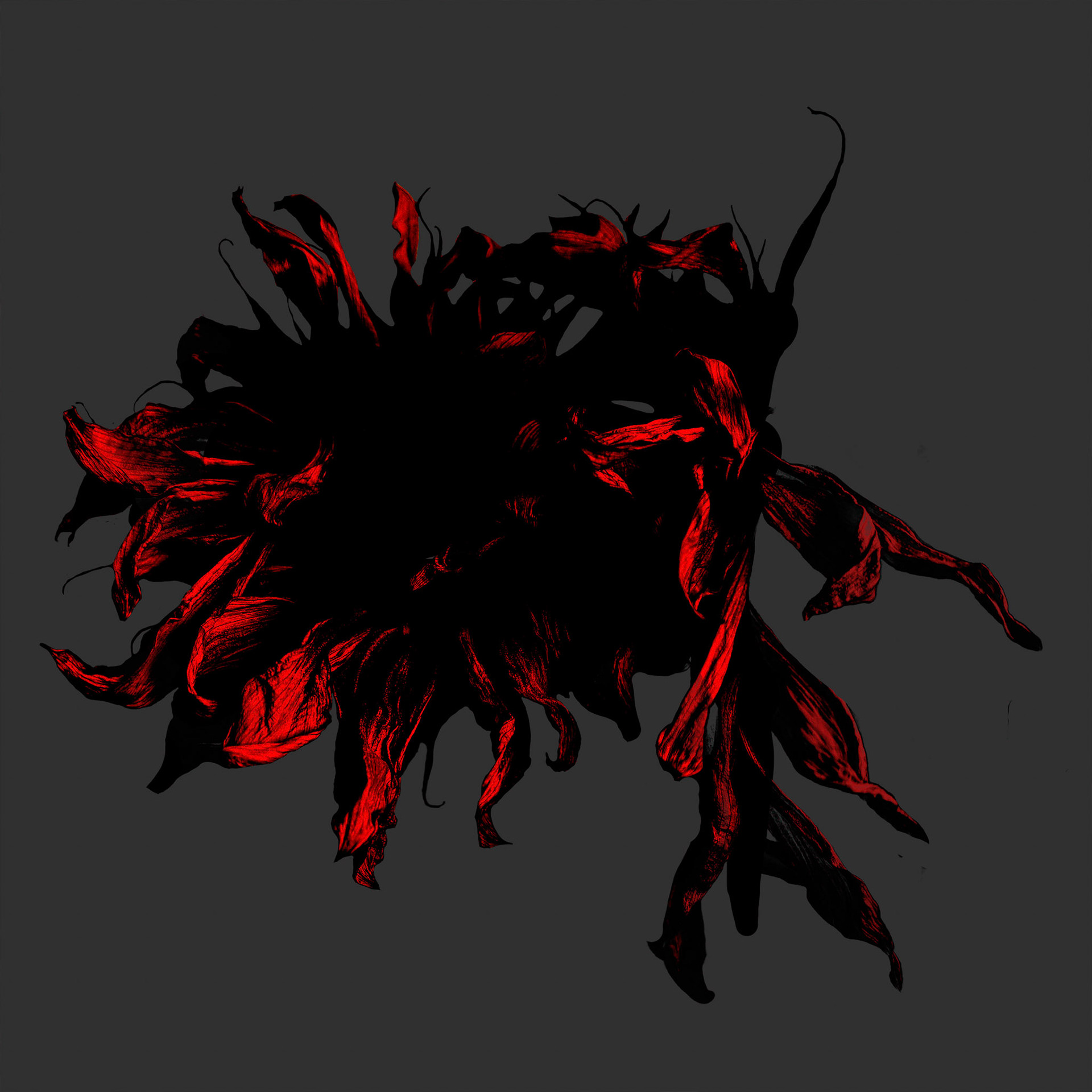 Early Stage of Love, 412014-107