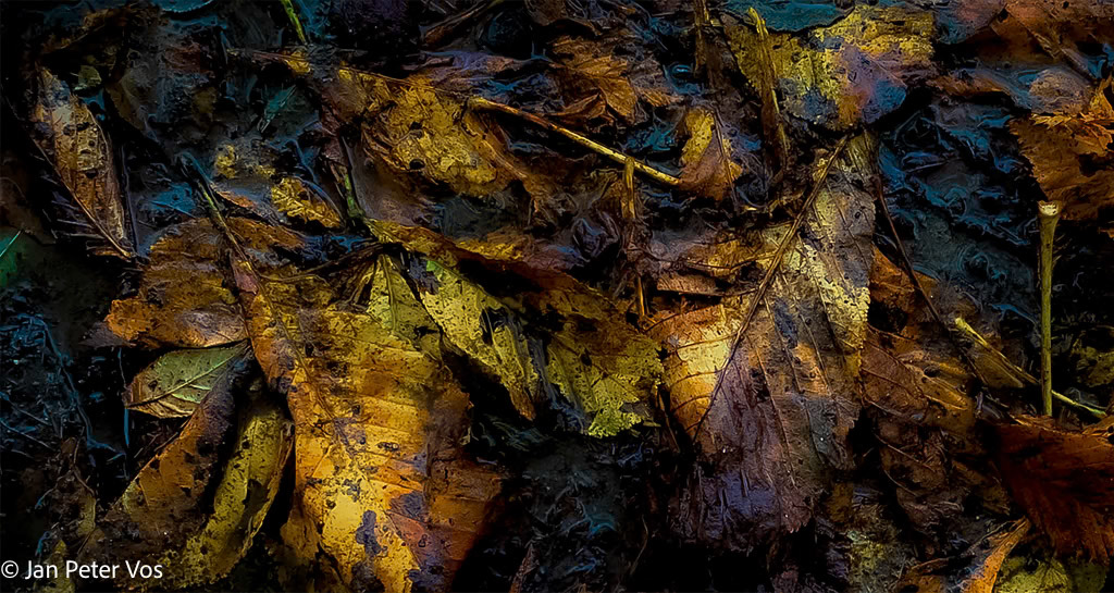 The Ghosts of Autumn, 411664-101