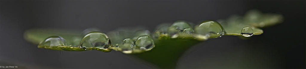 A Balancing Act, 403565-100