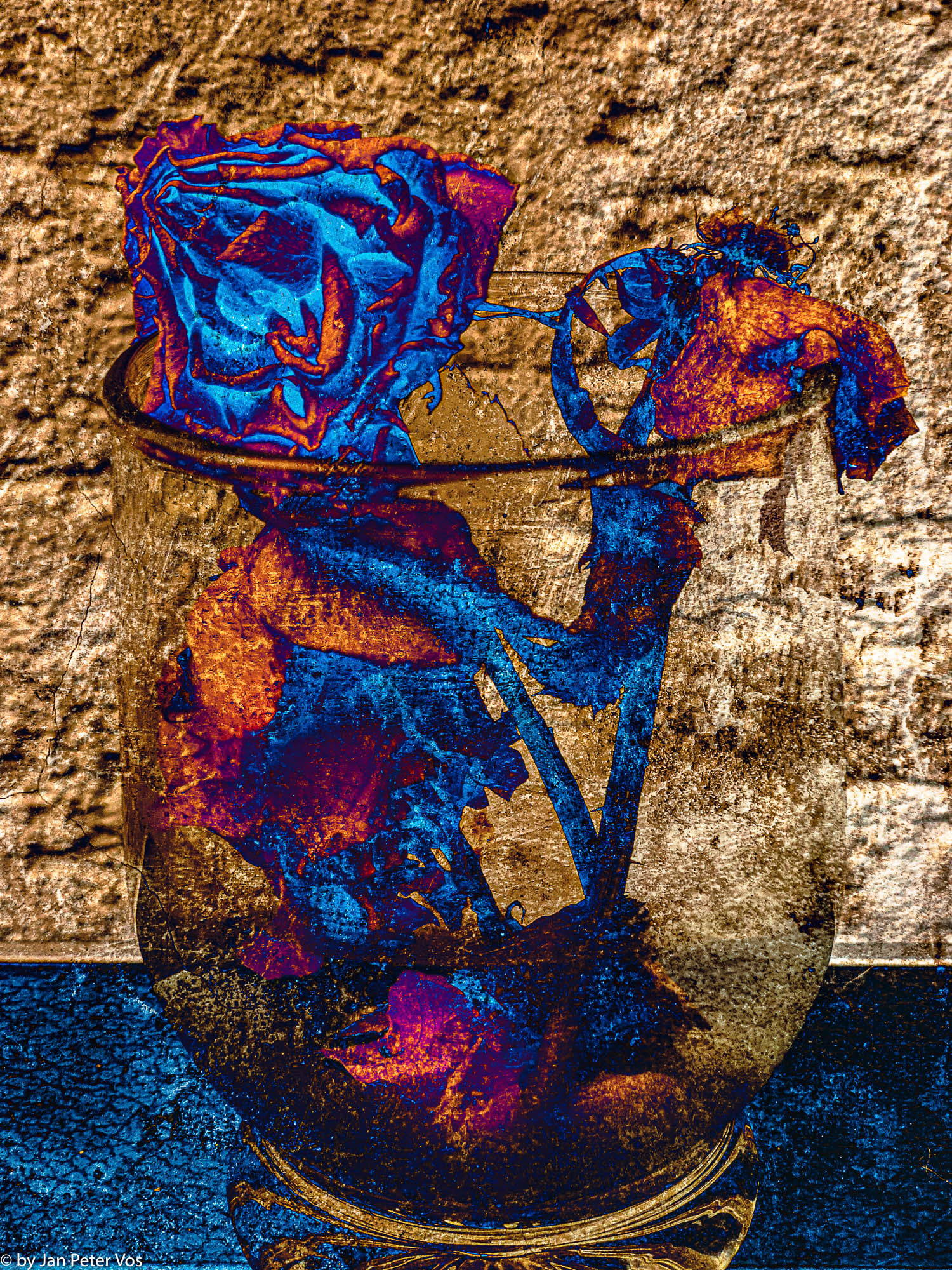 Rose in a Glass, 411428-104