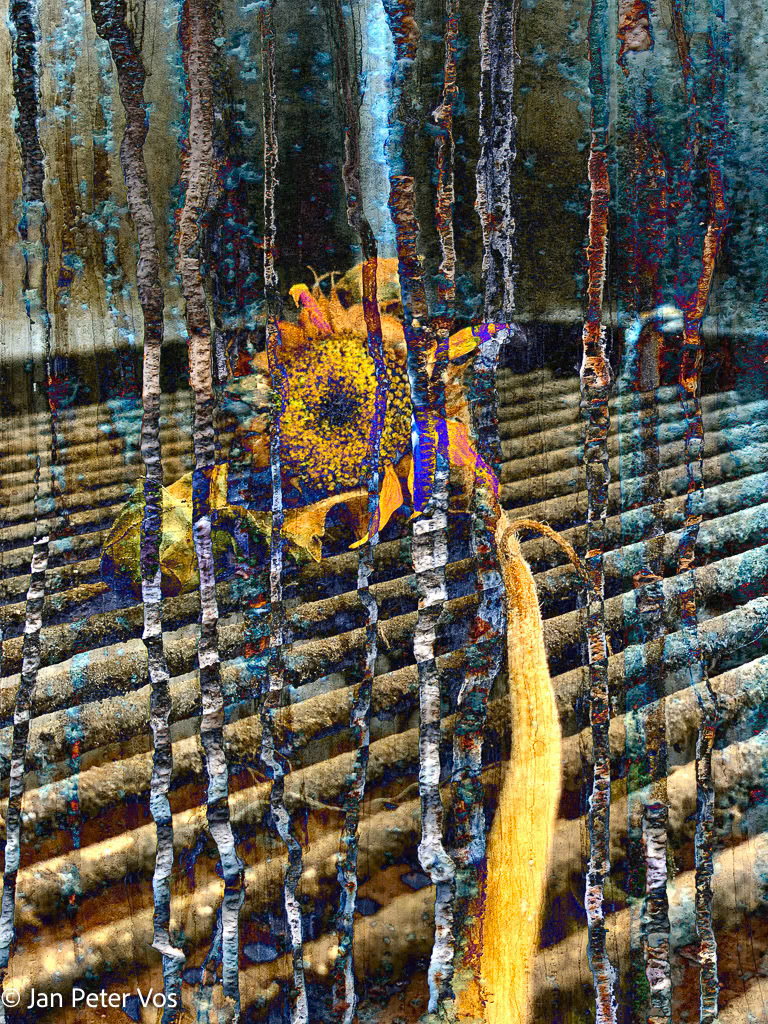 Relaxing, 411430-101