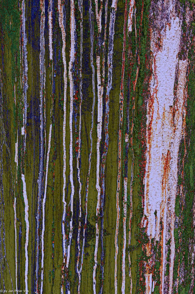 Natural Lines, 410258-104