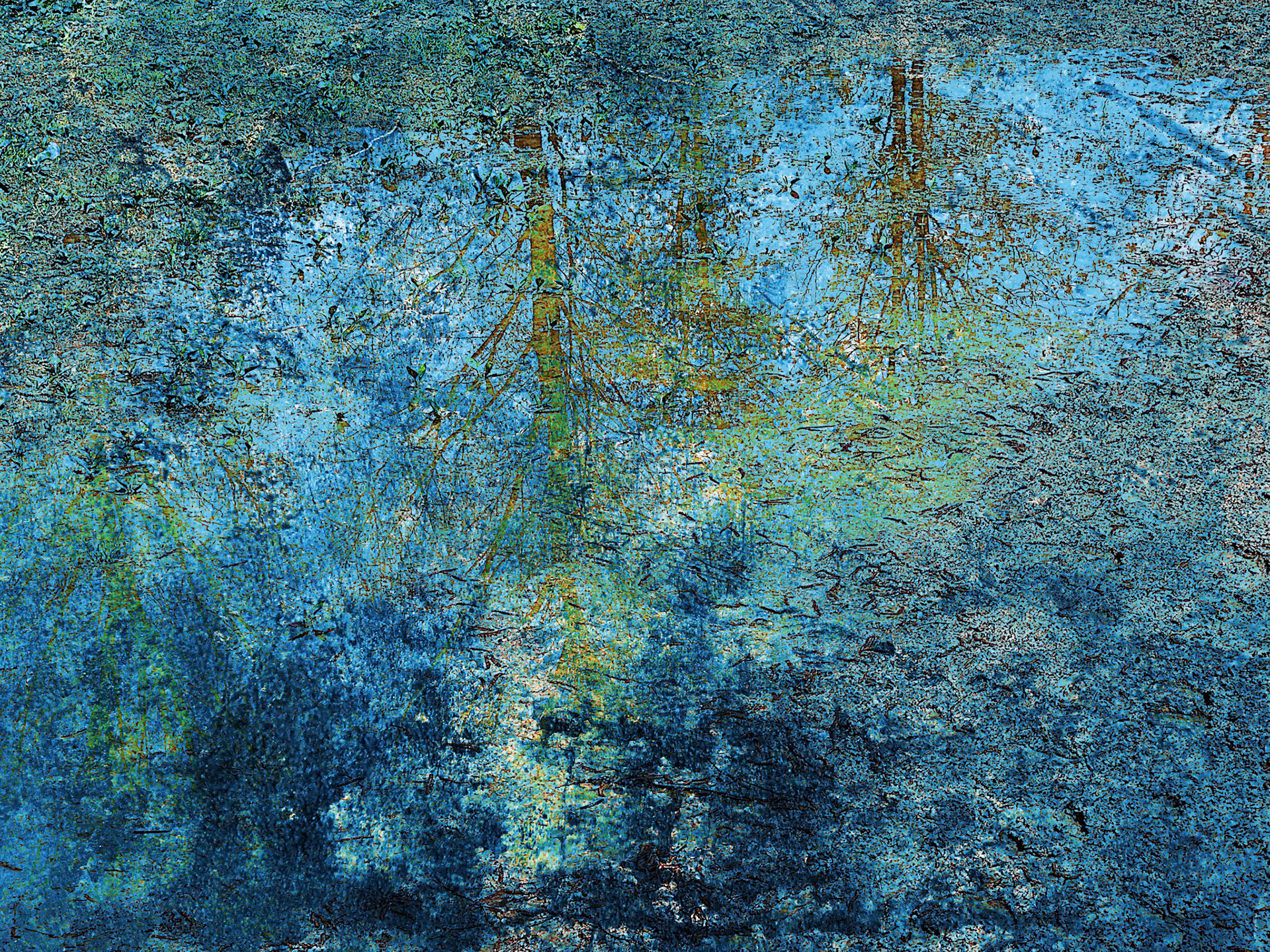 Reflections of a Puddle, 411413-207