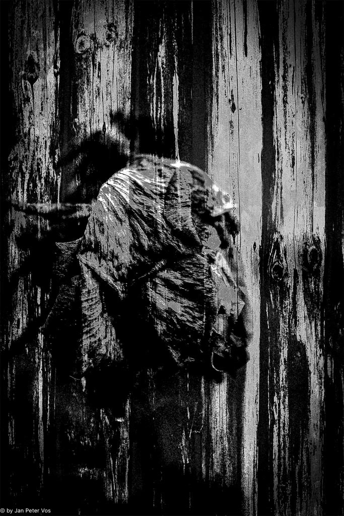 Grief, 405988-109