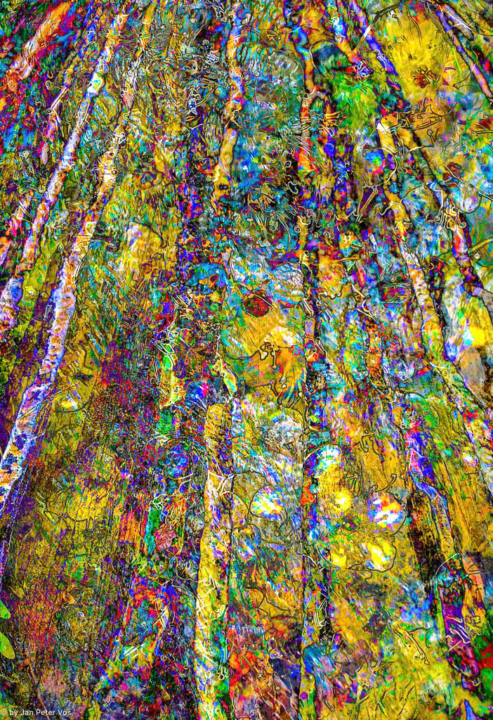The Immensity of Joy, 408494-101