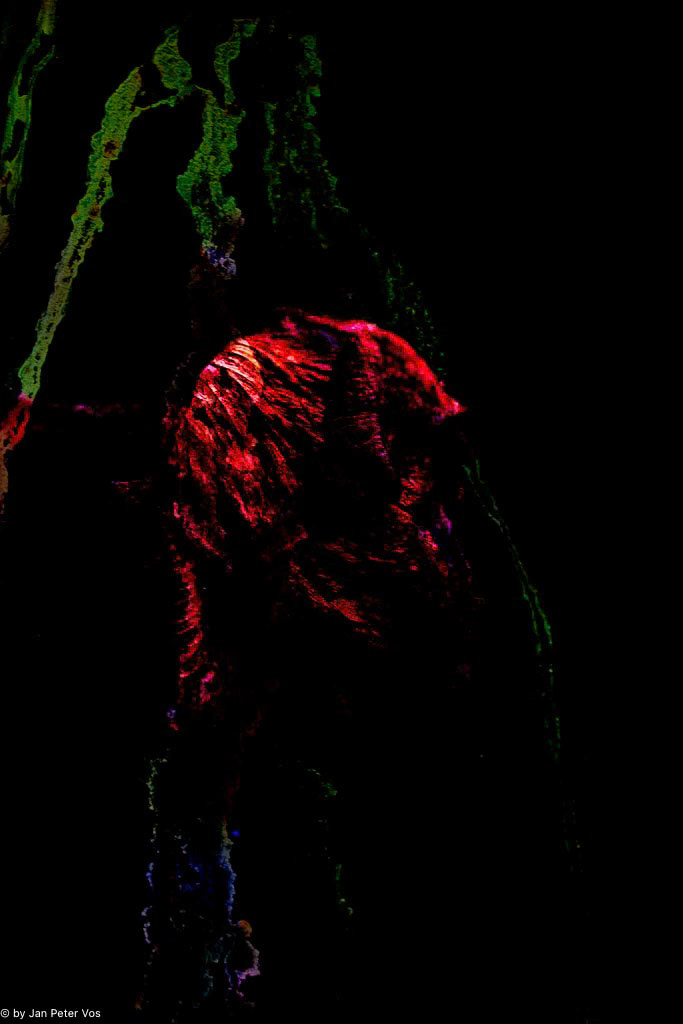 Solitude, 405988-112