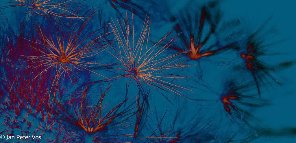 Dancing Lightness, 401957-102