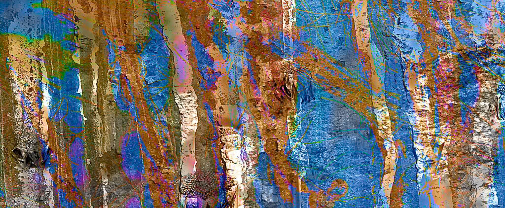Magic Lines 410535-100-106