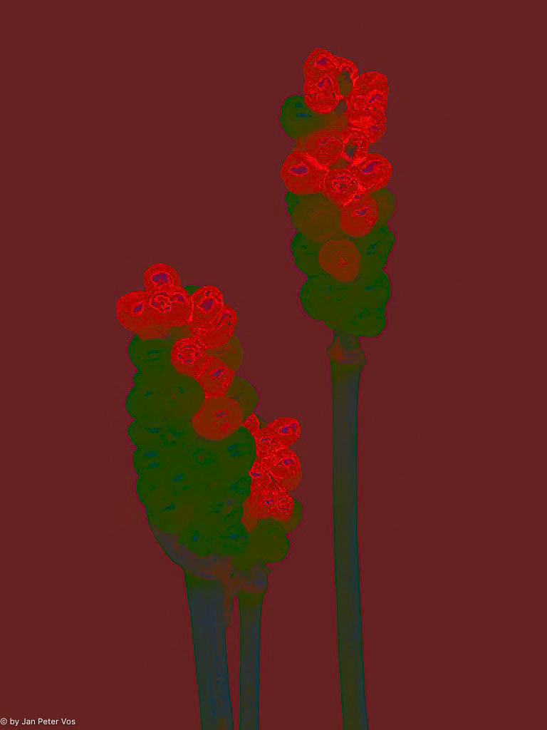 The 2 of Us, 411535-107