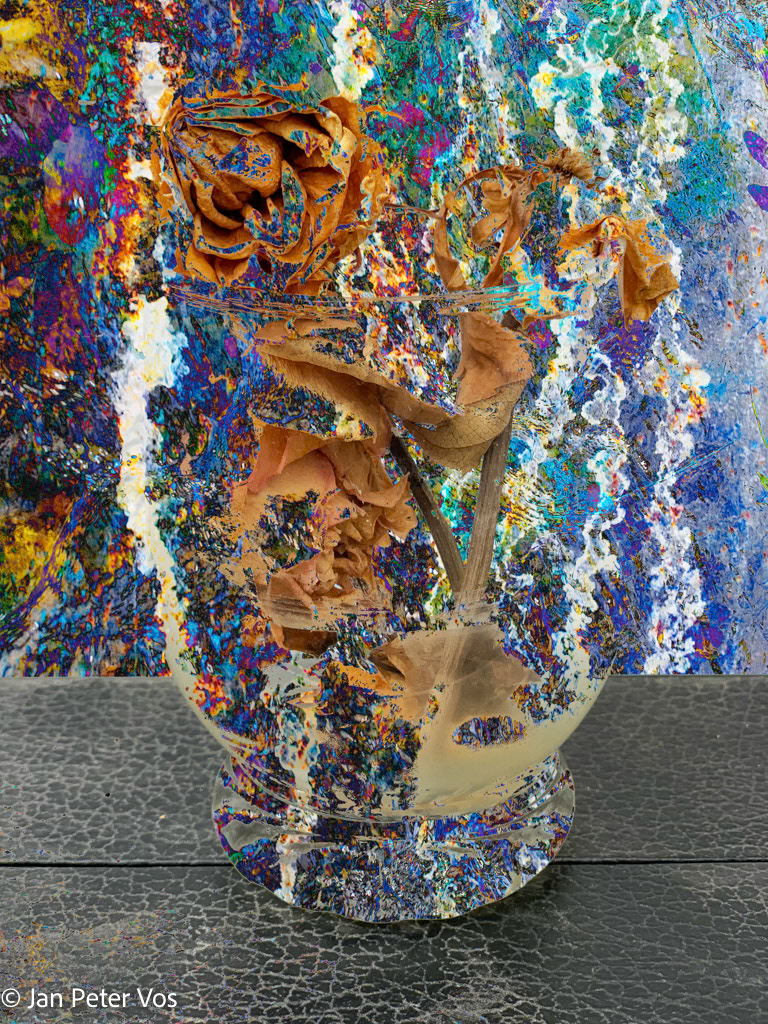 Rose in a Glass, 411428-111