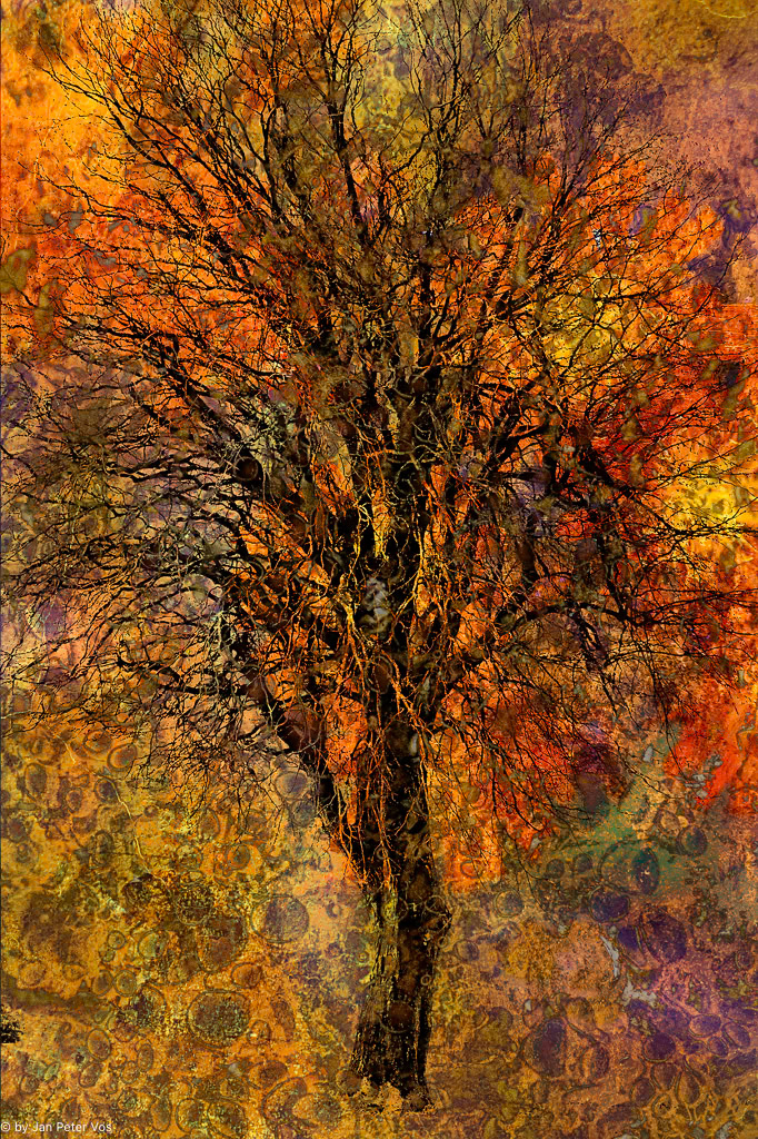 A fiery Temper: 120x80cm