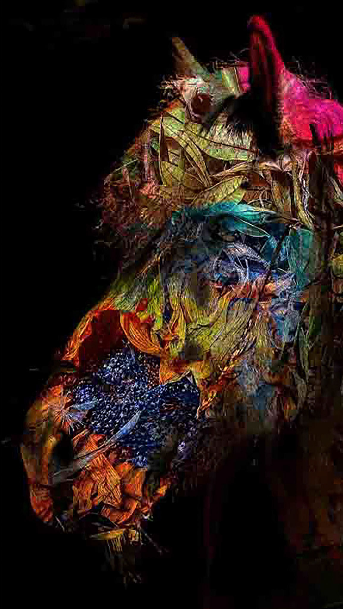 The Soul of My Horse, 408107-101