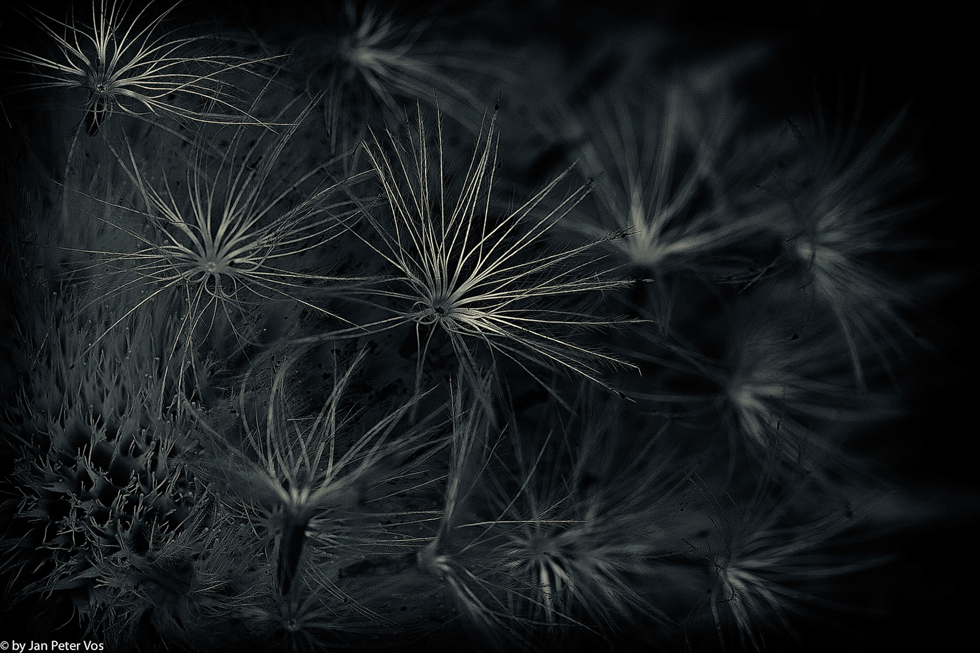 Exploring, 401957-101