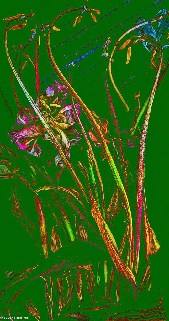 The Colors of Joy, 411576-100