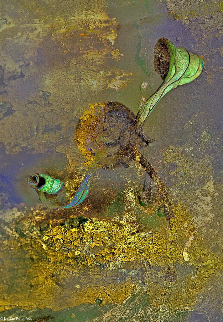 Jump for Joy, 406826-100