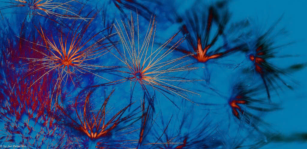 Dancing Lightness, 401957-102