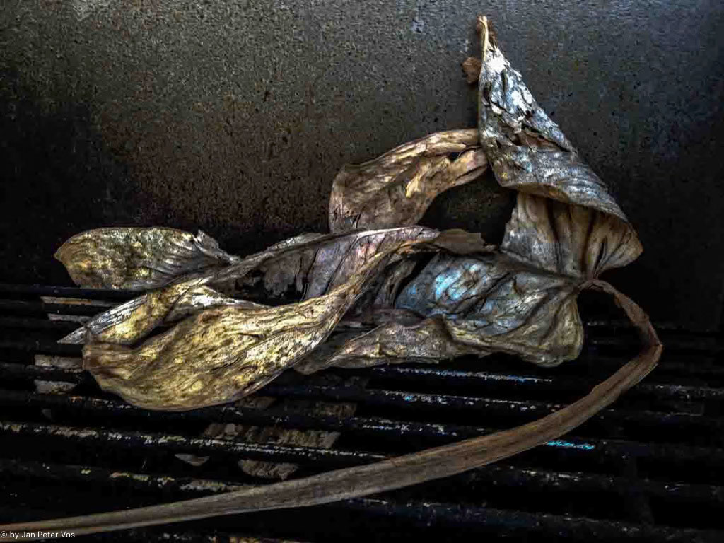 Transition: 90x120cm