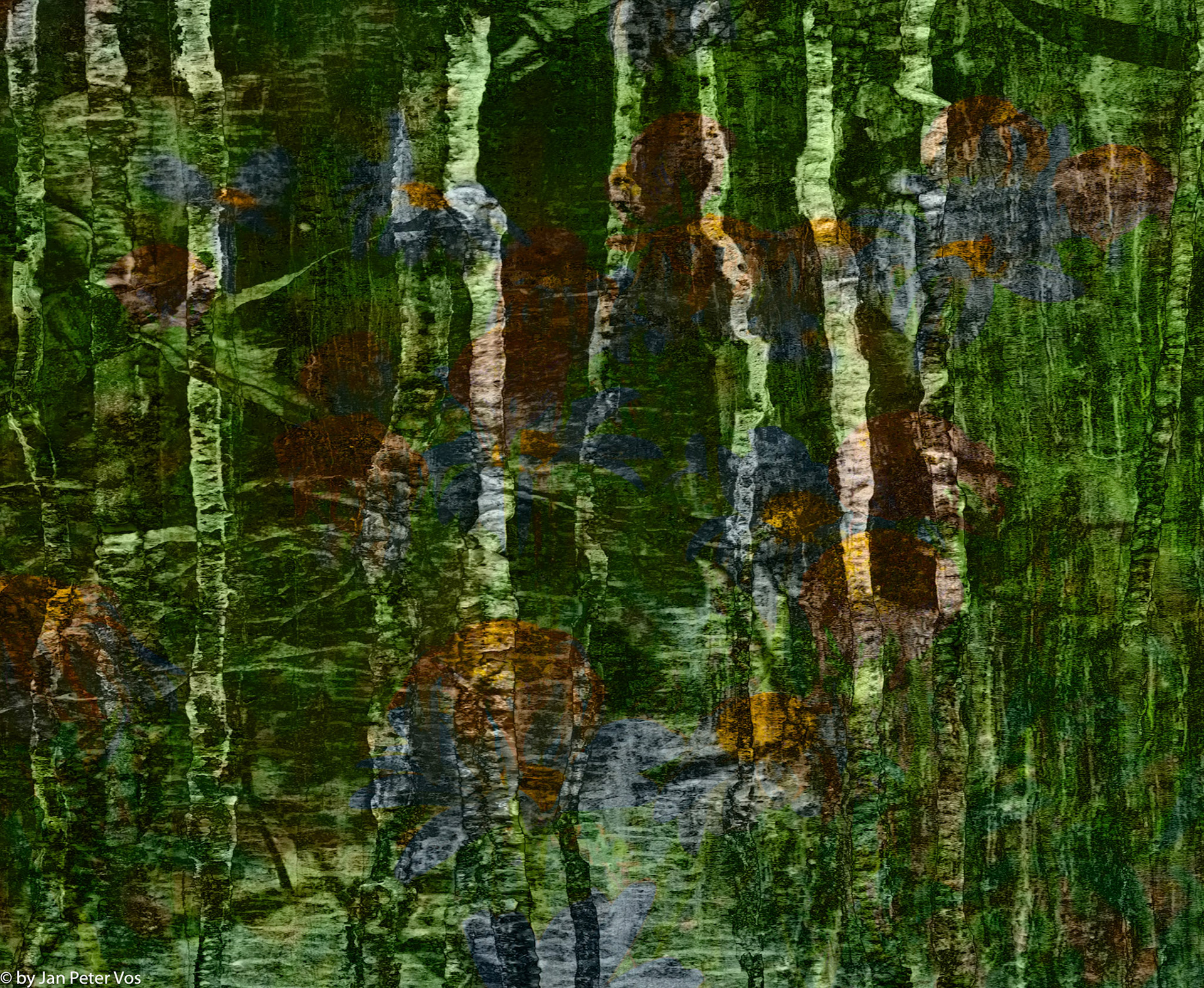 Dreaming on the Pond Site, 411424-12