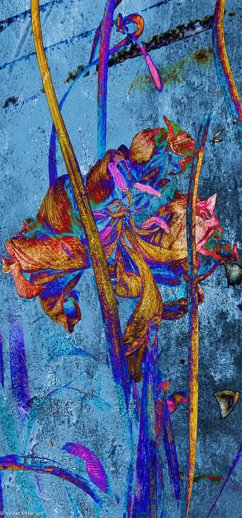 Another View on Beauty, 411526-209