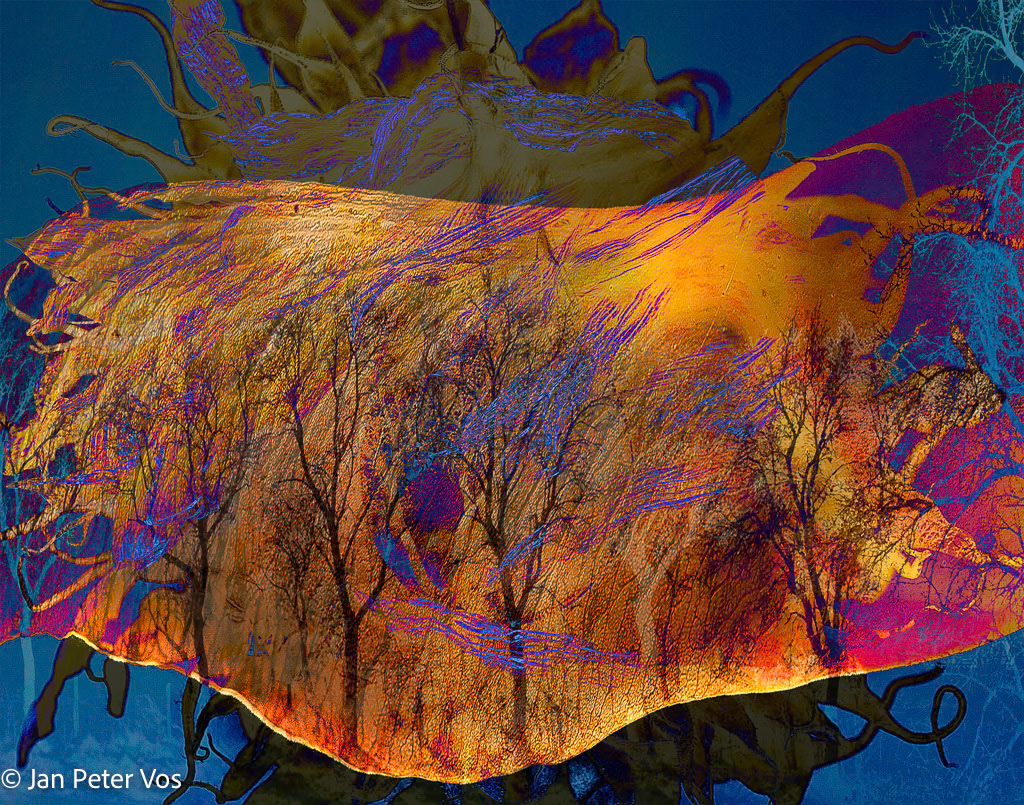 Crack of Dawn, 404864-100