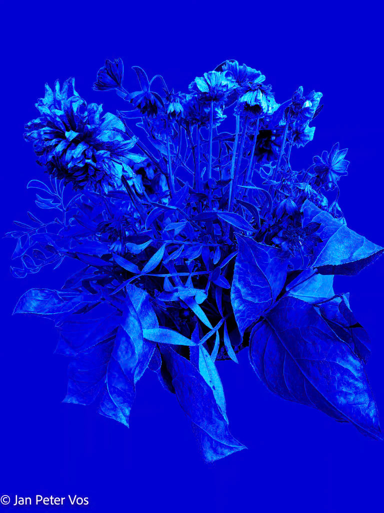 Howabout being a Bouquet in Blue, 411201-203