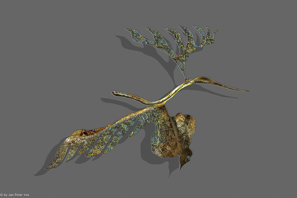 Wings, 403969-200-101