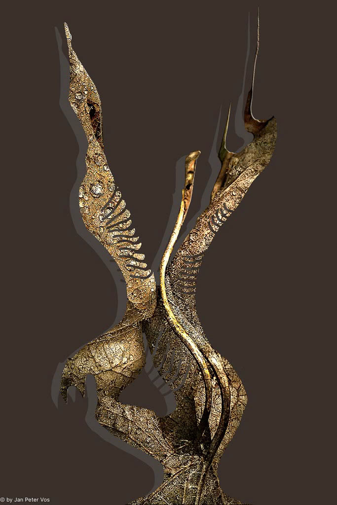 Dragon Evolving, 403969-111