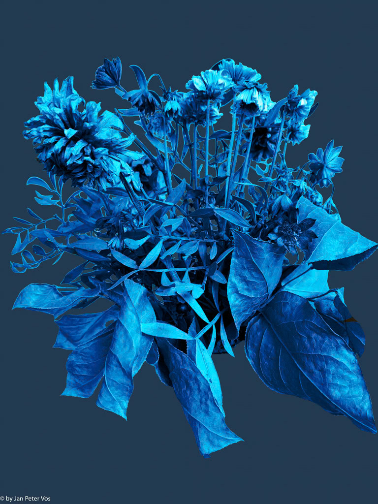Bouquet in Blue, 411201-208