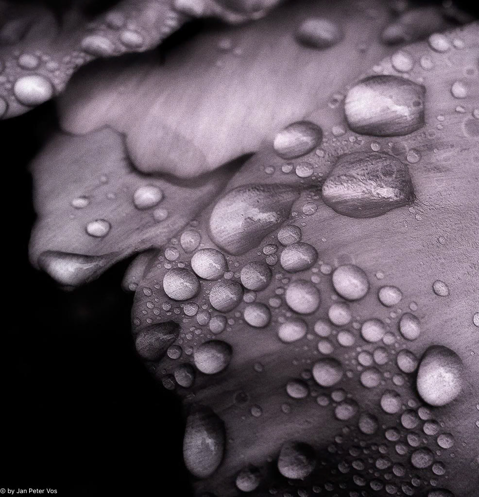 We are the Drops, 405155-100