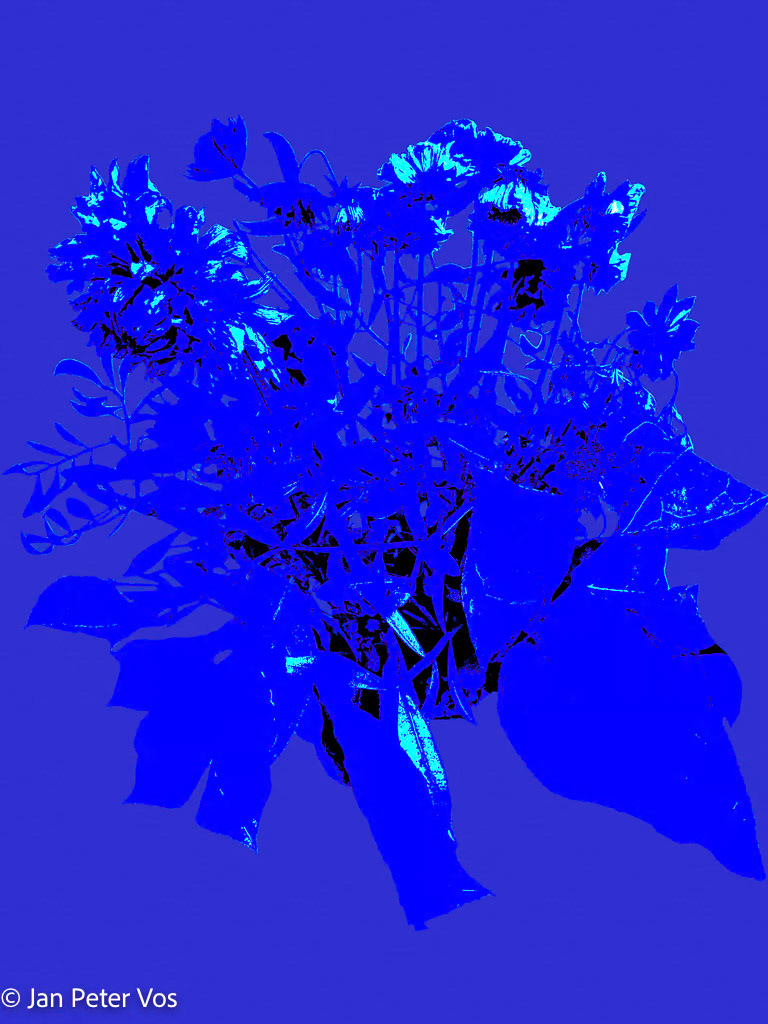 The Ghost of a Bouquet, 411201-206