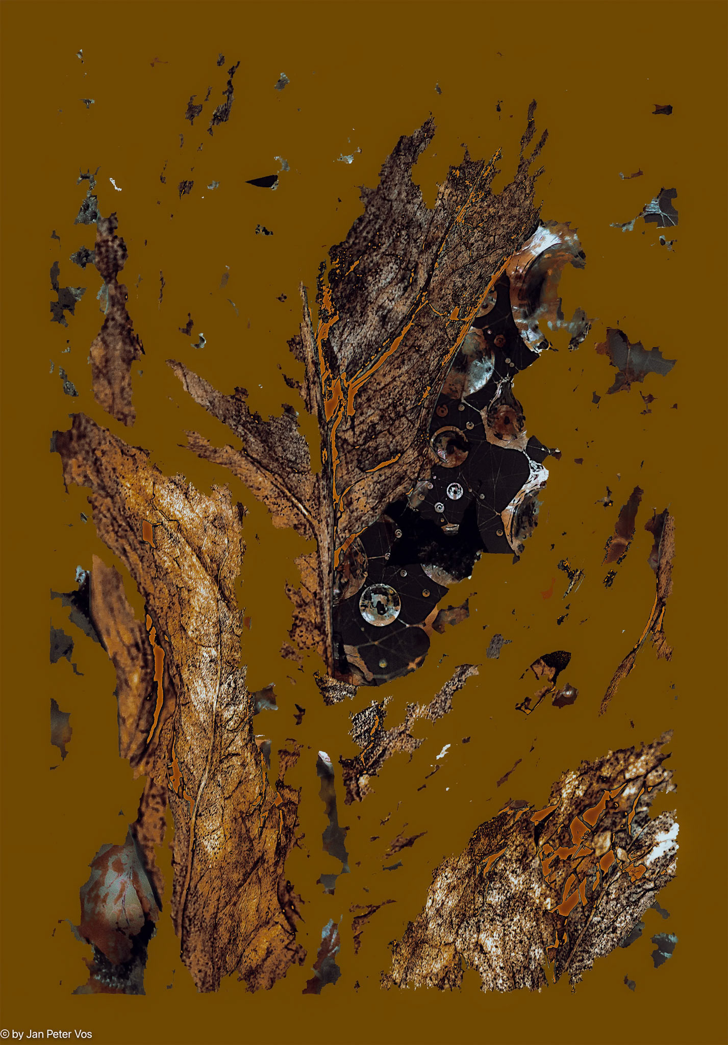A Cosmic Perspective 400042-100