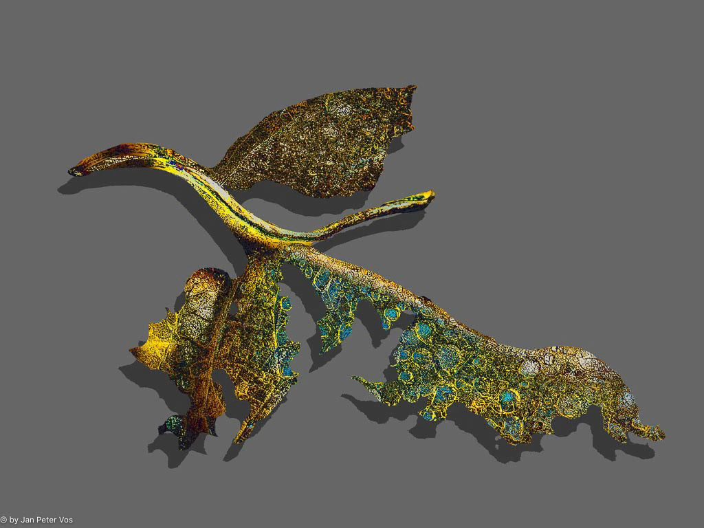 Flying, 403969-213, 403969-213