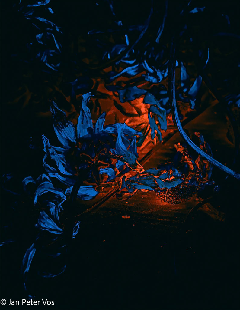 The Energy of Transition, 408369-307