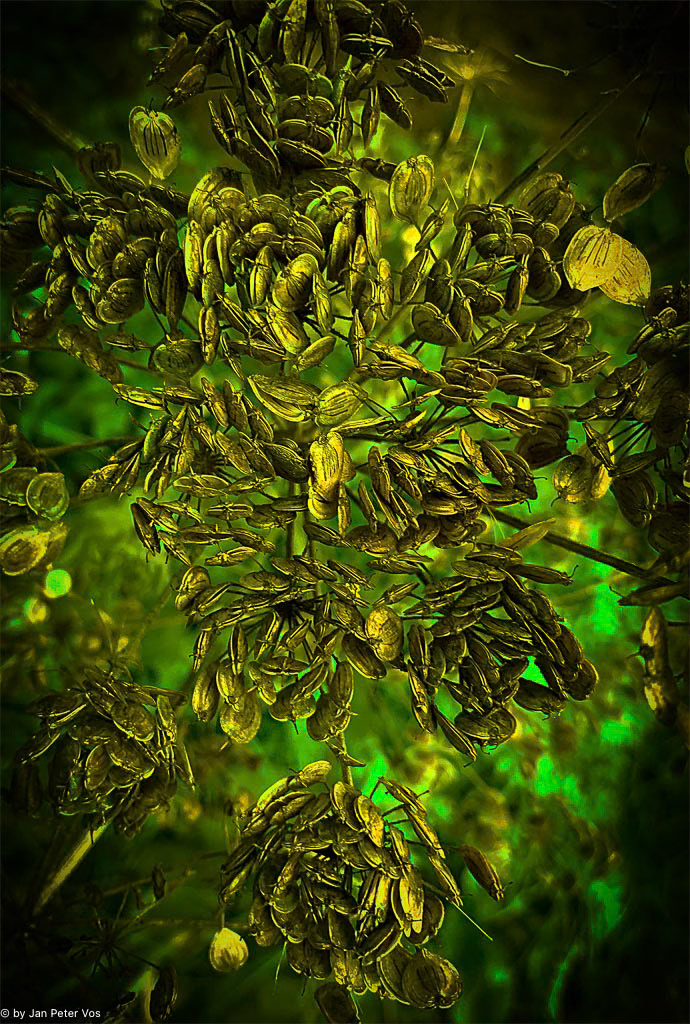The Chips of Mother Nature, 411623
