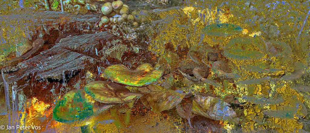 Celebrating Autumn, 403171-103