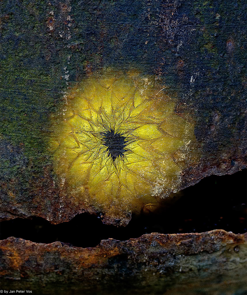 The Eye: 150x120cm