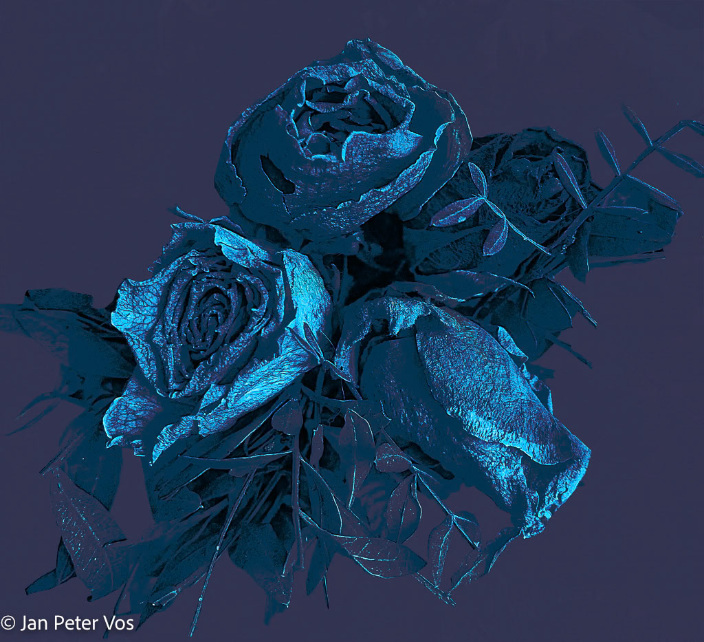 Living our Bouquet, 411205-104