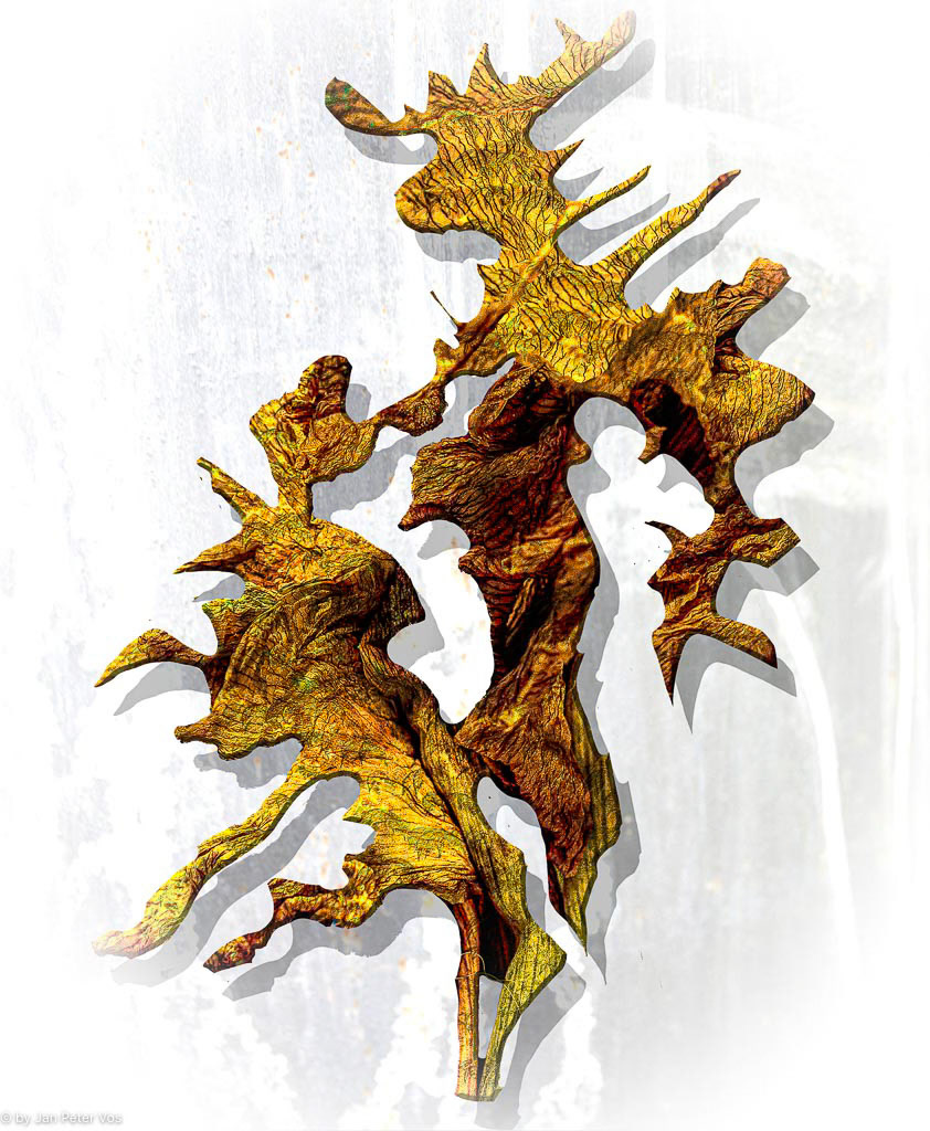 Mother &amp; Daugther, 408349-208