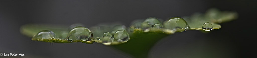 A Balancing Act, 403565-100