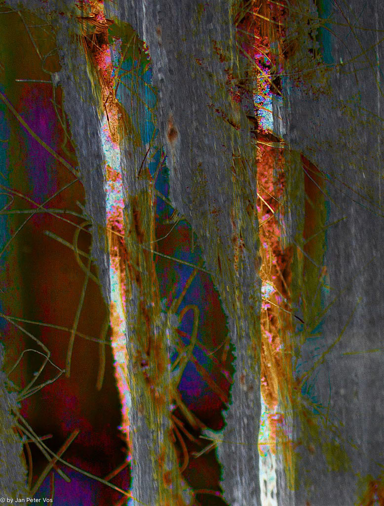 Drawing Lines, 410535-201-102