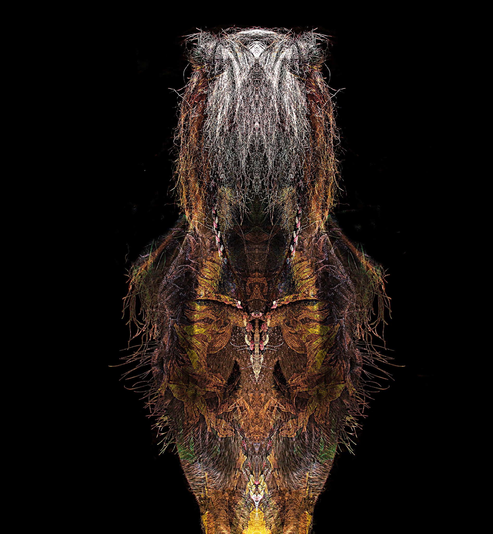 Ghost Rider, 411710-100