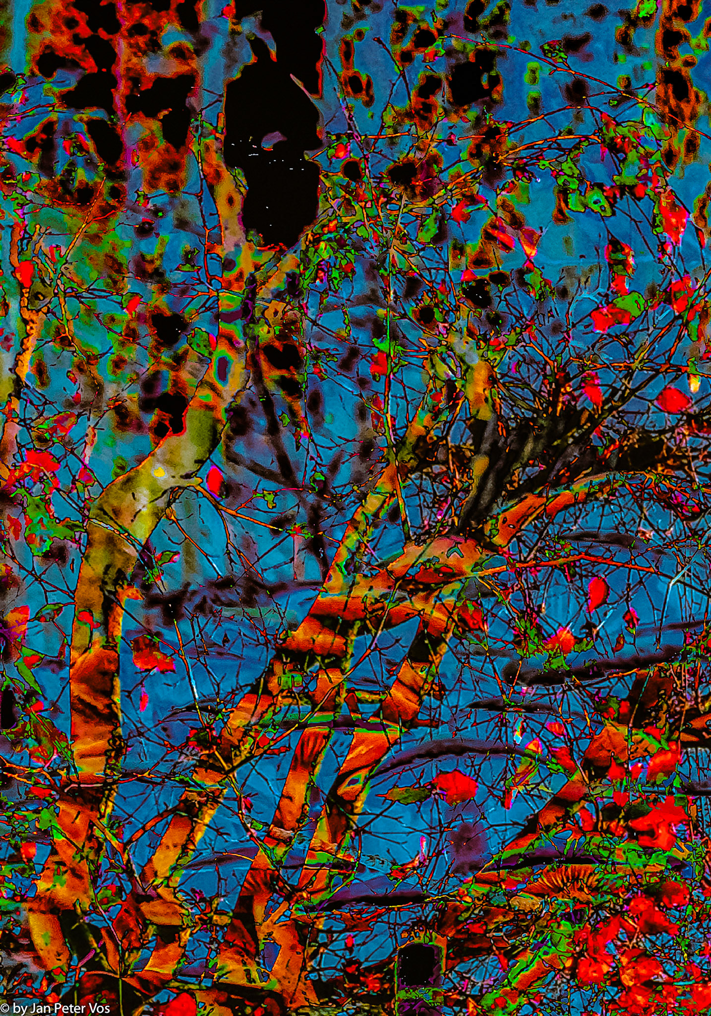 Composing an Idea, 410050-202