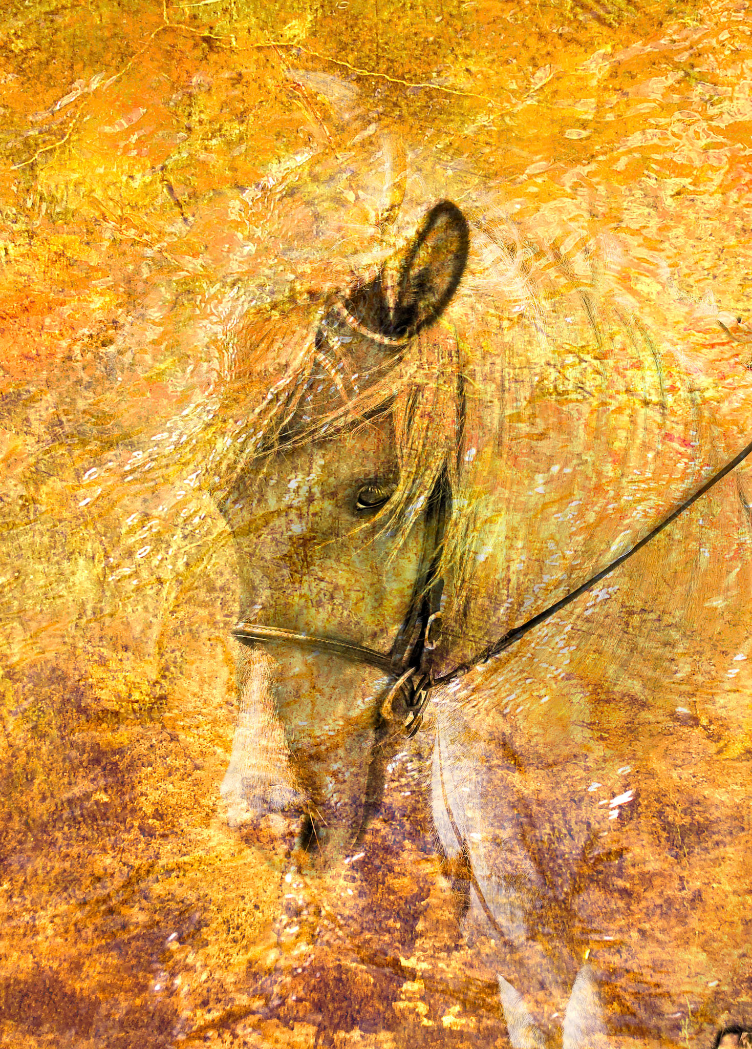 Natural Beauty, 411991-100