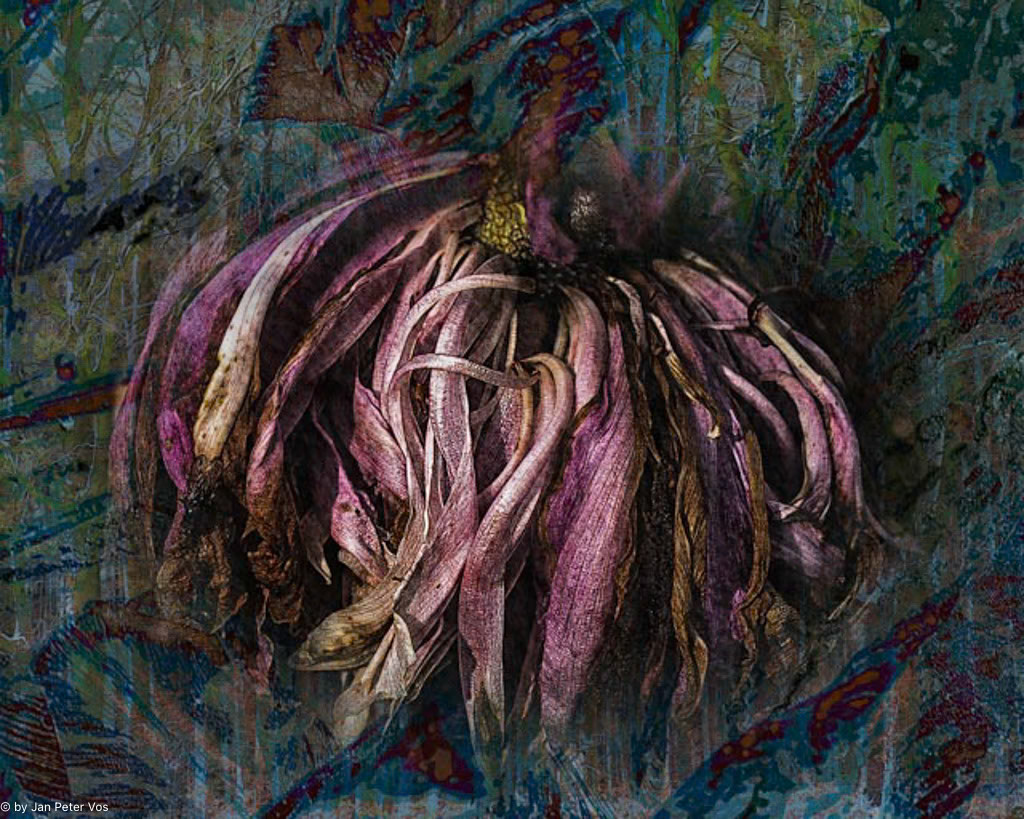 Dancing into Ecstasy: 120x150cm