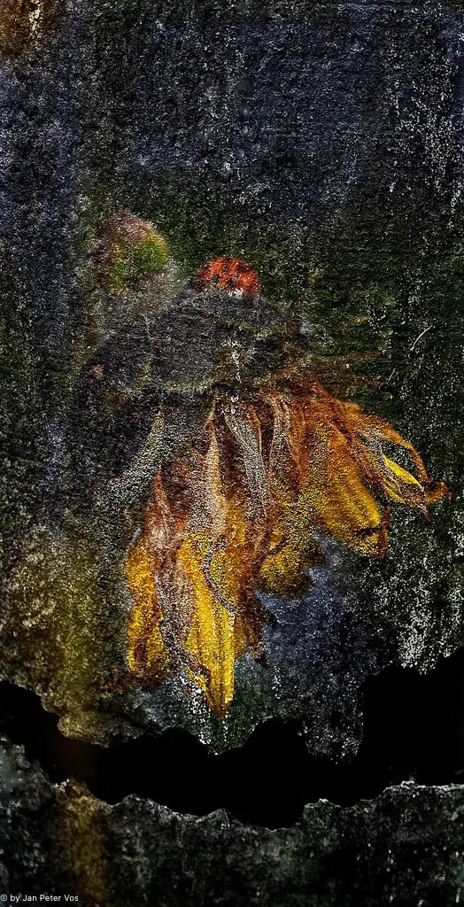 Ladybird on Guard, 404084-102